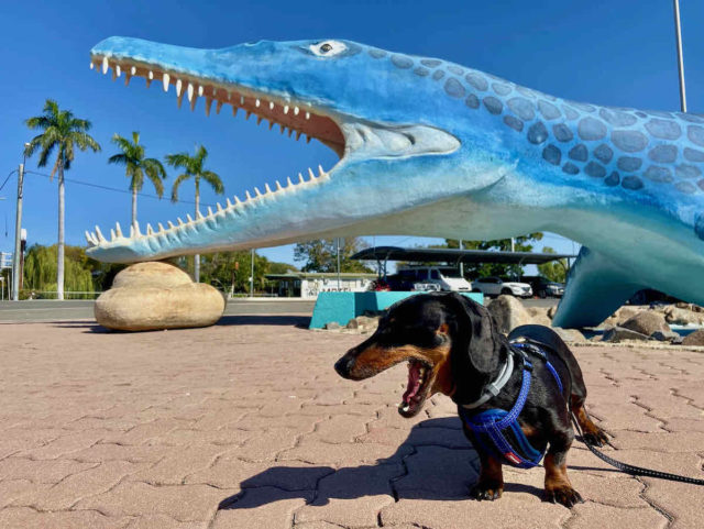 Kronosaurus Selfie