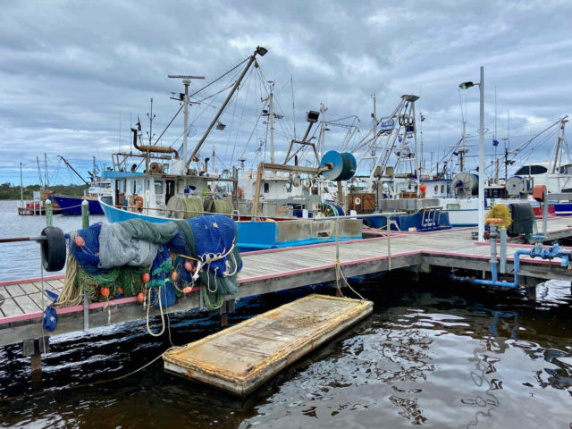 Lakes Entrance Fishing Fleet