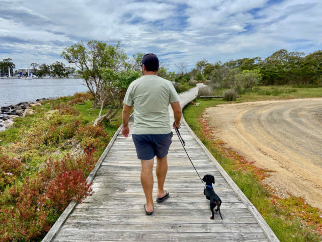 Raymond Island Boardwalk