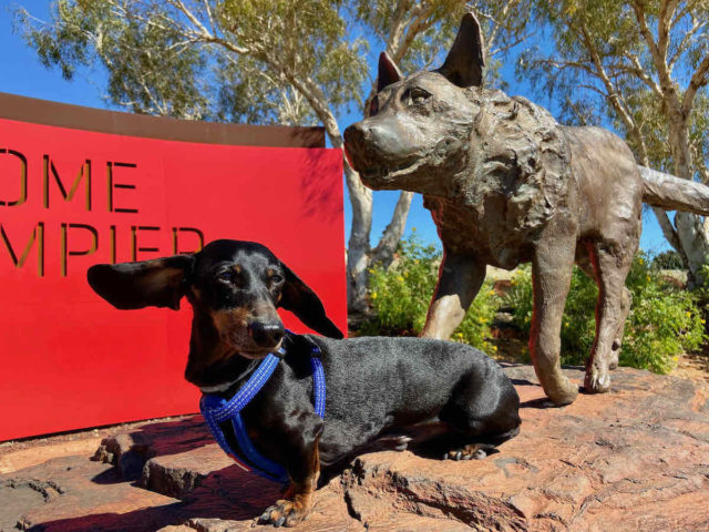 Red Dog Dampier