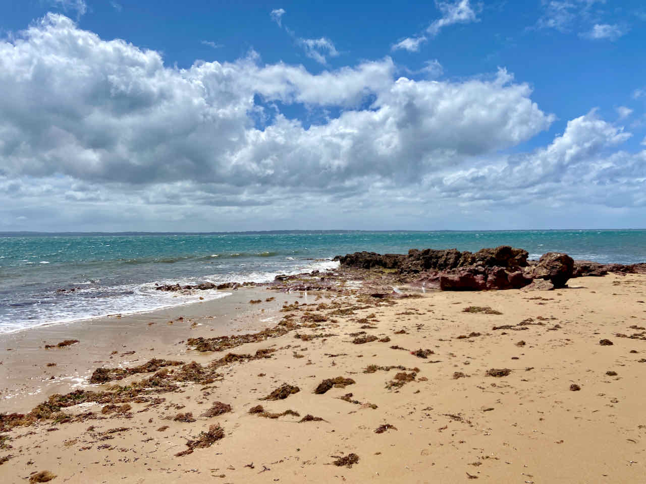DogFriendly Phillip Island, VIC Visiting with a Dog Travelnuity