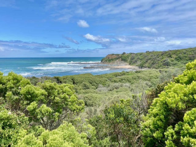 View from George Bass Coastal Walk