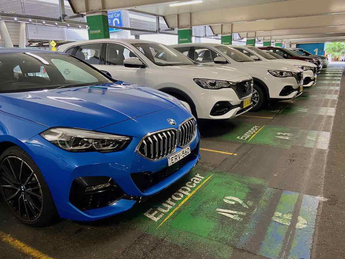 Which Car Rentals in Australia Are PetFriendly? Travelnuity