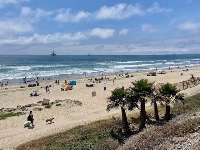 Huntington Dog Beach