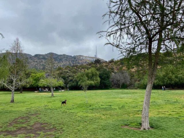 Lake Hollywood Park with Dogs