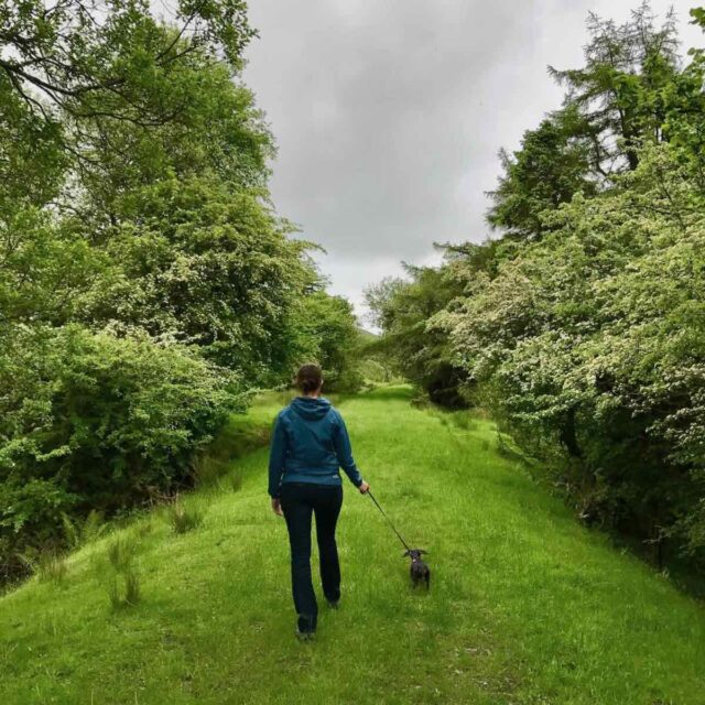Walking in Brecon Beacons with Dog
