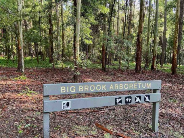 Big Brook Arboretum