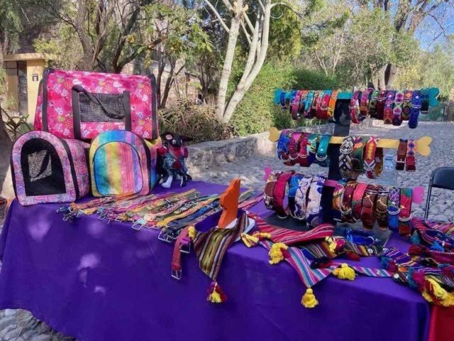 Dog Accessories at San Miguel de Allende Market