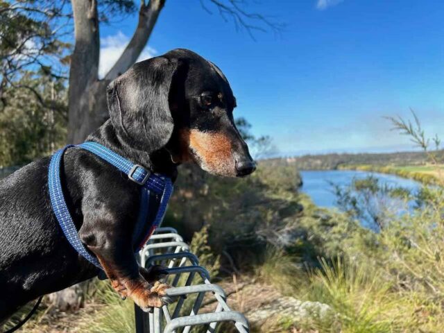 Grotto Walk Lookout