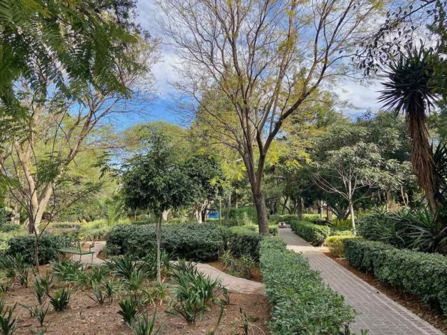 Park San Miguel de Allende