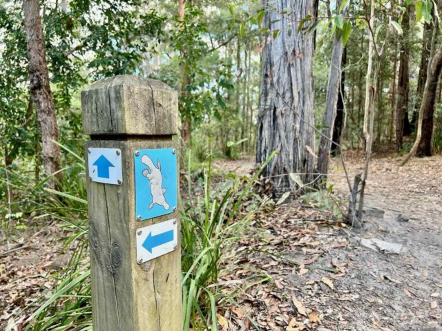 Platypus Track Sign