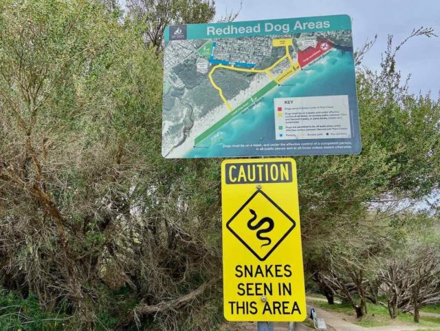 Redhead Dog Areas