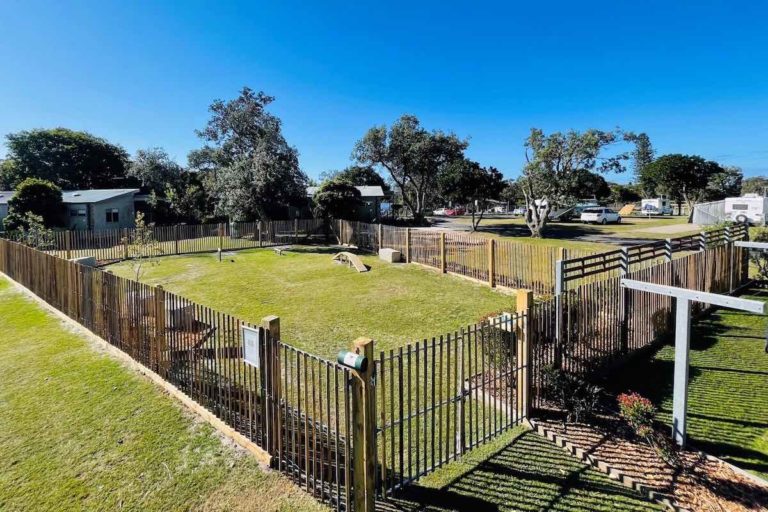24 of the Best PetFriendly Cabins in NSW Travelnuity