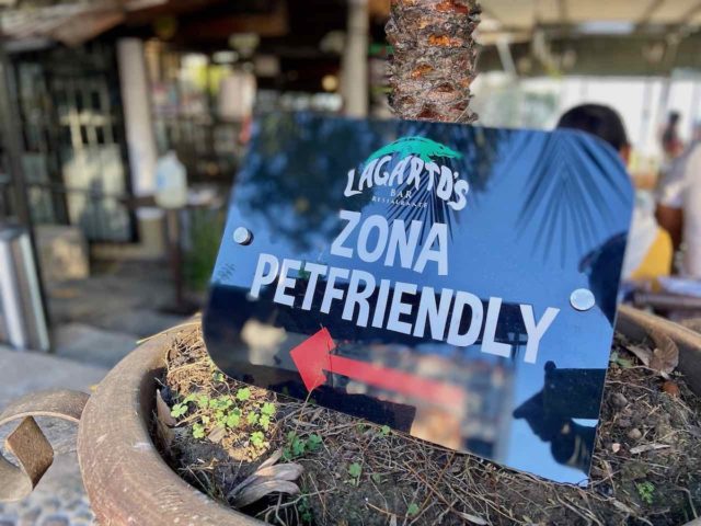 Restaurant Zona Pet-Friendly Valle de Bravo