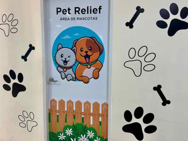 Central and South America Airports with Pet Relief Areas