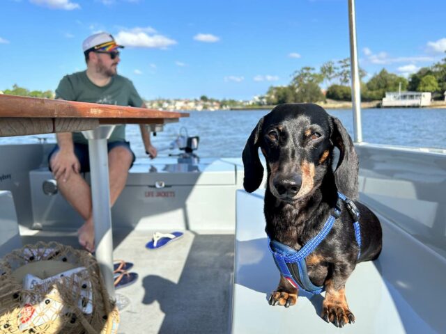 GoBoat with Dog and Table