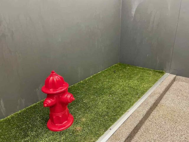 Pet Relief Area