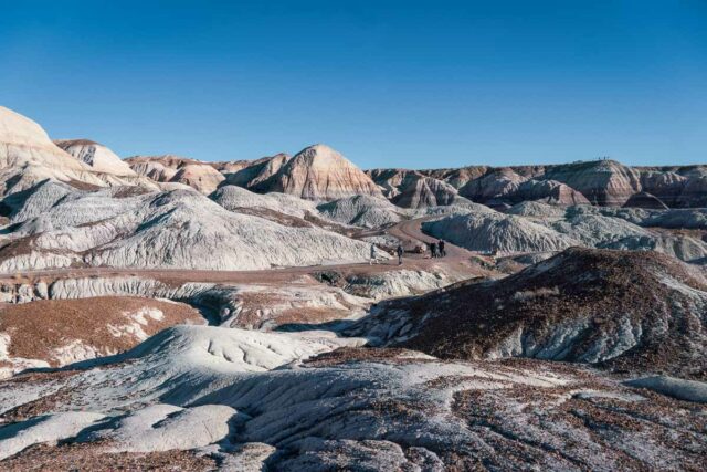 Petrified Forest NP