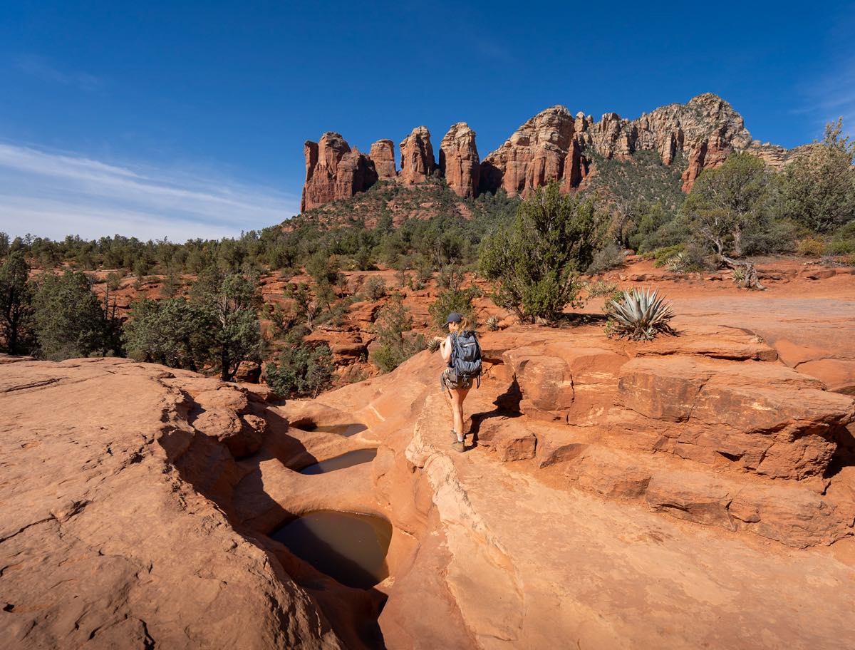 14 Fun Dog-Friendly Things to Do in Arizona - Travelnuity