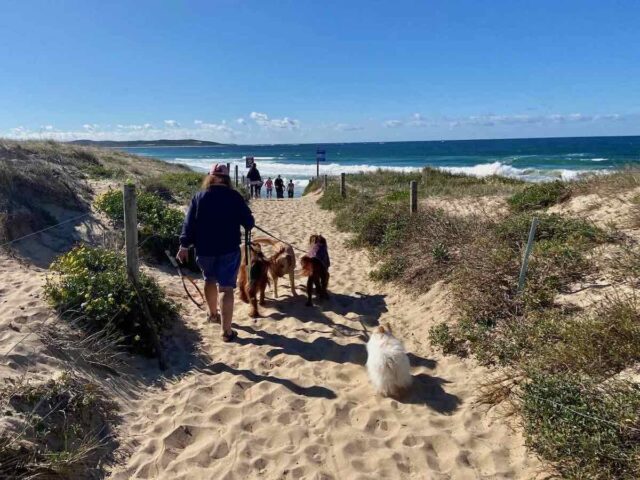 Access to Greenhills Dog Beach