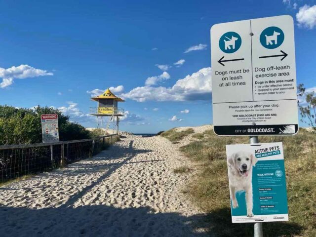 Dog Off-Leash Boundary at Palm Beach Dog Beach