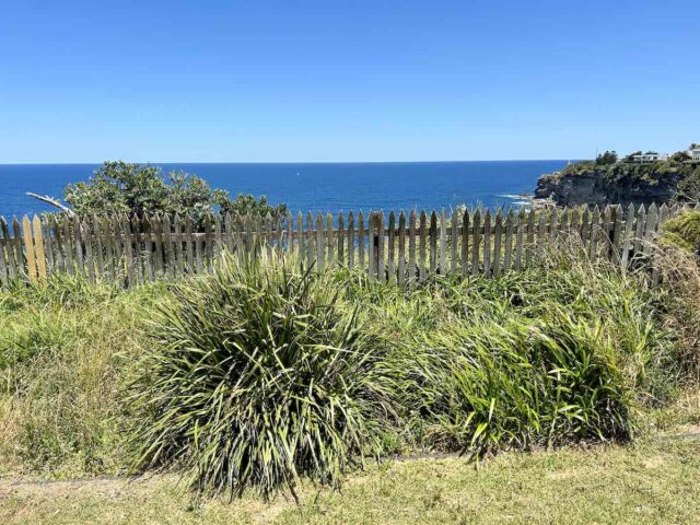 Federation Cliff Walk Fencing