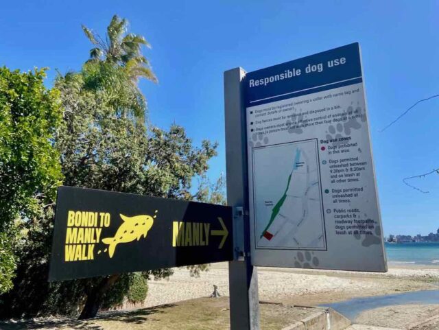 Rose Bay Dog Map