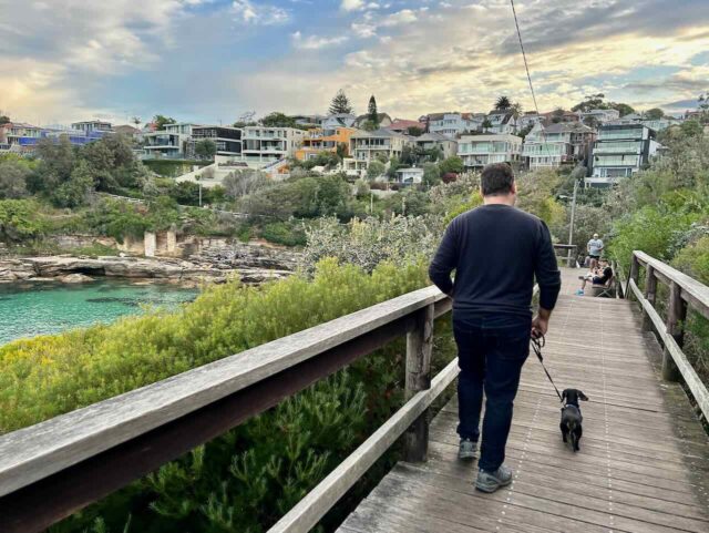 Walking Bondi to Coogee Coastal Walk with a Dog at Gordons Bay