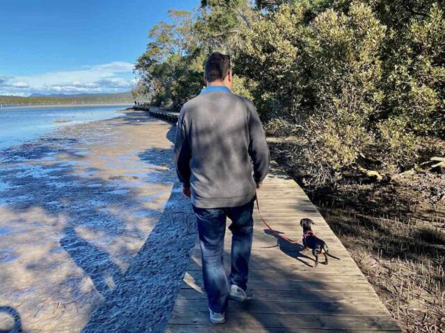 Walking Merimbula Boardwalk with Dog