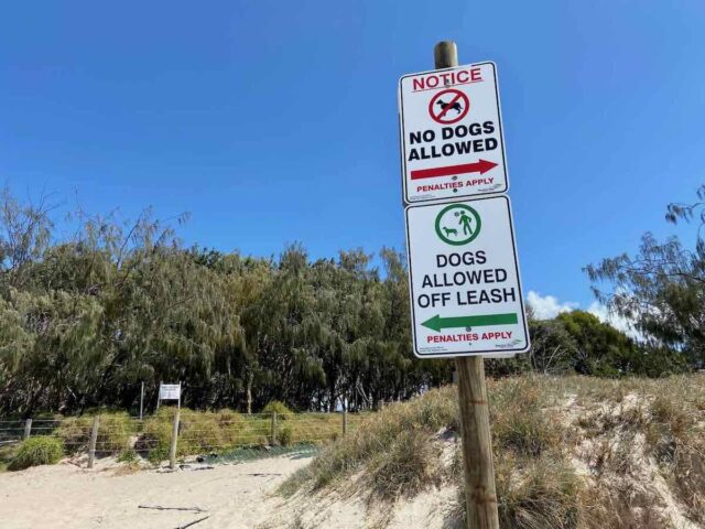 Woorim Beach Dog Signs