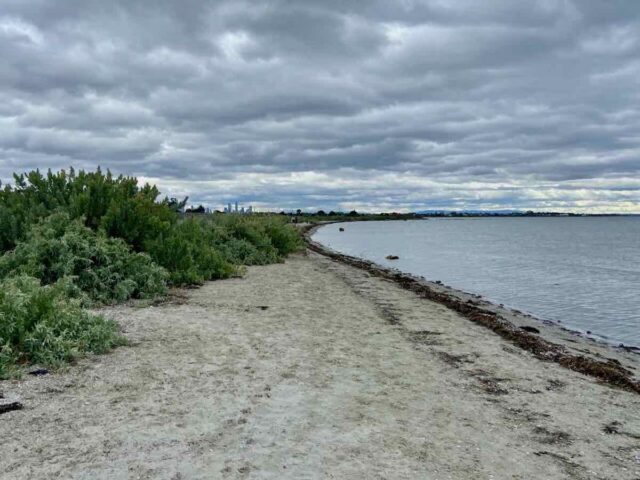 Altona Dog Beach Melbourne