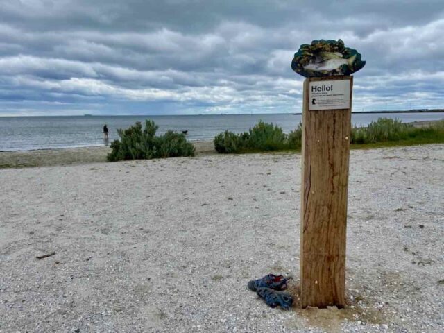 Altona Dog Beach Sign