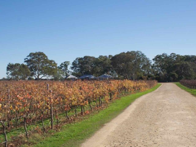 Coonawarra Wineries