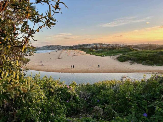 Curl Curl Dog Beach from Above