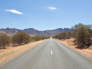 Dog-Friendly Alice Springs