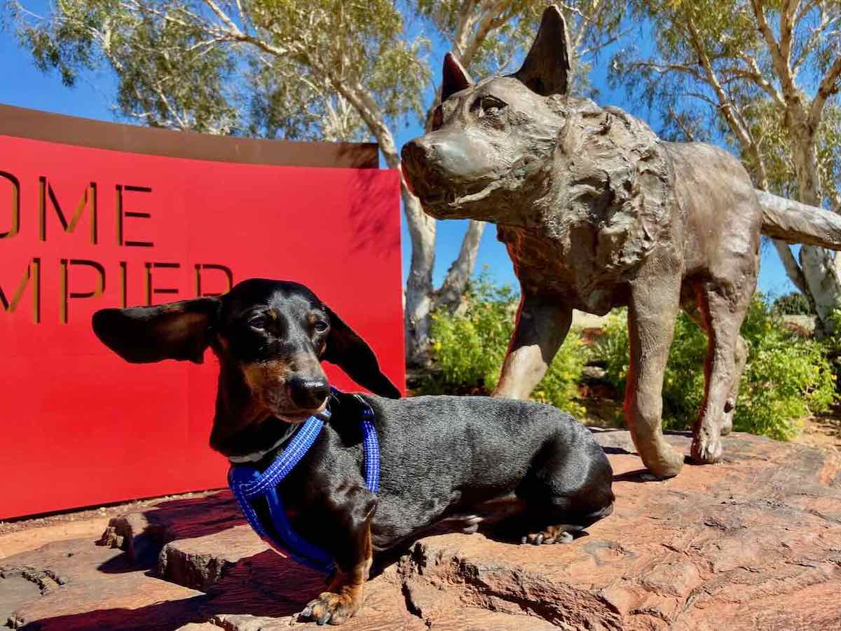 DogFriendly Karratha Visiting Karratha with a Dog Travelnuity