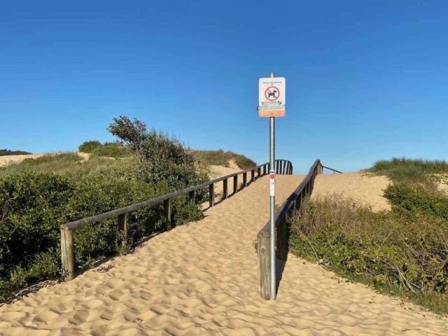 Dog Prohibited Curl Curl Beach