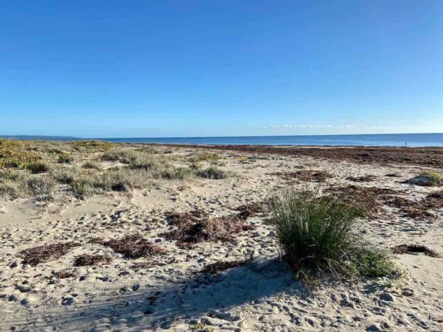 Geographe Bay Beach