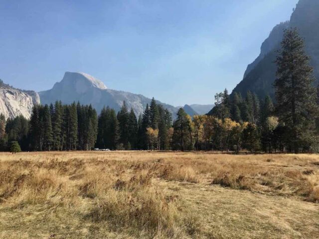 Meadows at Yosemite