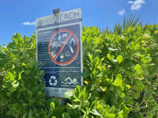 Miami Beach No Pets