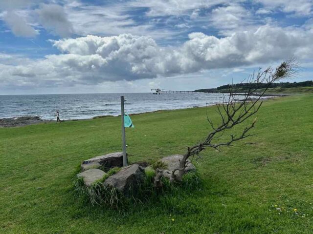 Off-Leash Dog Exercise Area at The Shallows