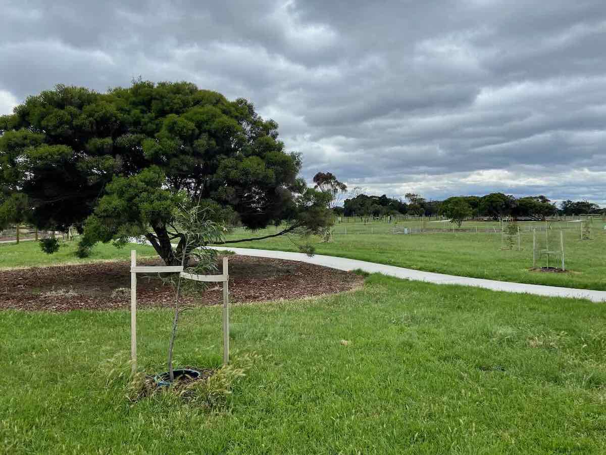 Visiting Altona Dog Beach in Melbourne Travelnuity