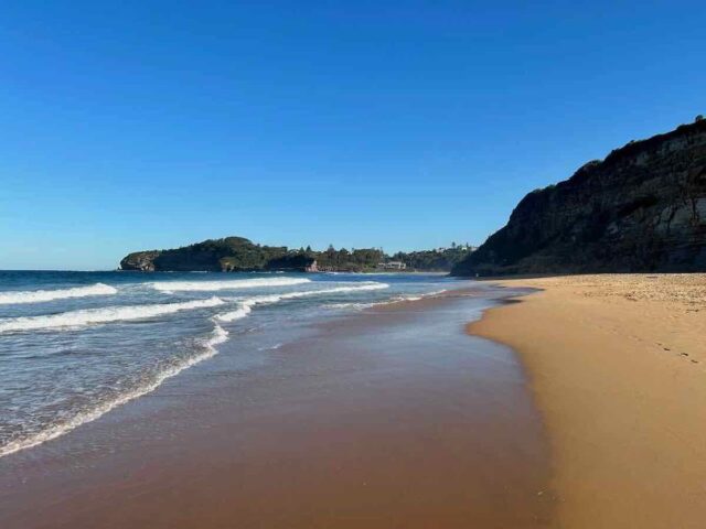 Proposed Mona Vale Dog Beach