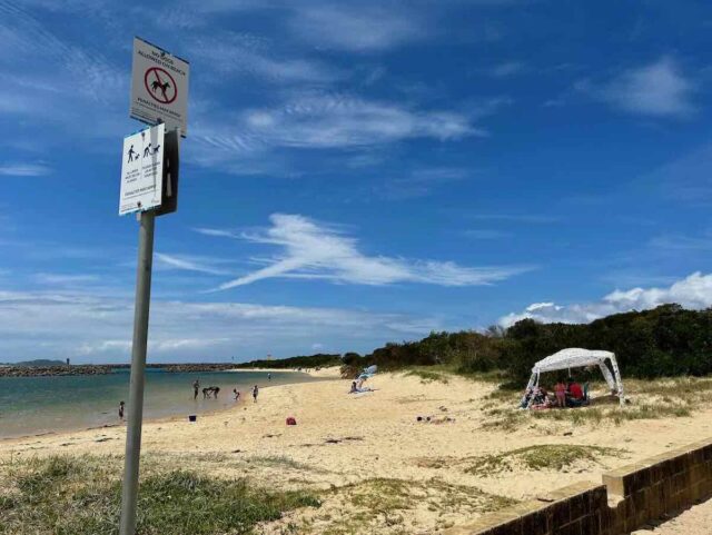 Proposed Off-Leash Dog Beach Kiyong Beach