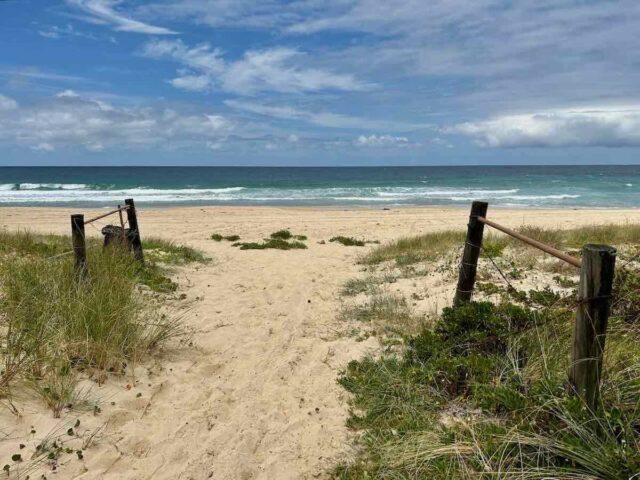 Proposed Off-Leash Dog Beach Shellharbour North Beach