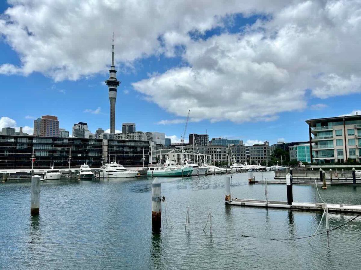 DogFriendly Auckland Visiting Auckland with a Dog Travelnuity