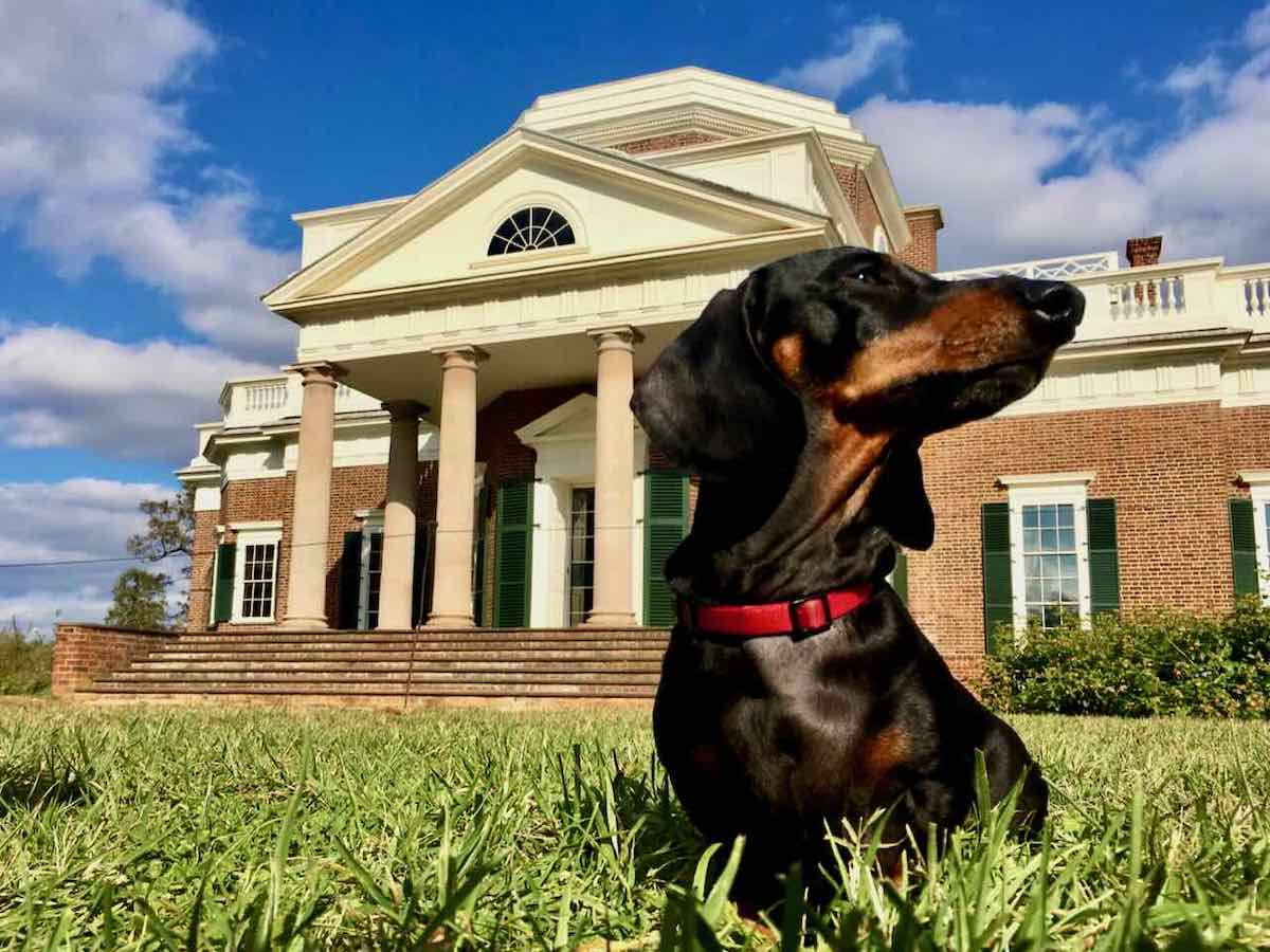 9 DogFriendly Things to Do in Virginia, USA Travelnuity