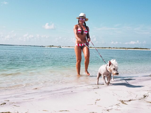 Honeymoon Island with Dog