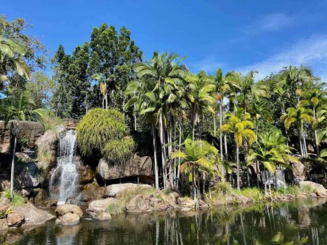 Kershaw Gardens Waterfall