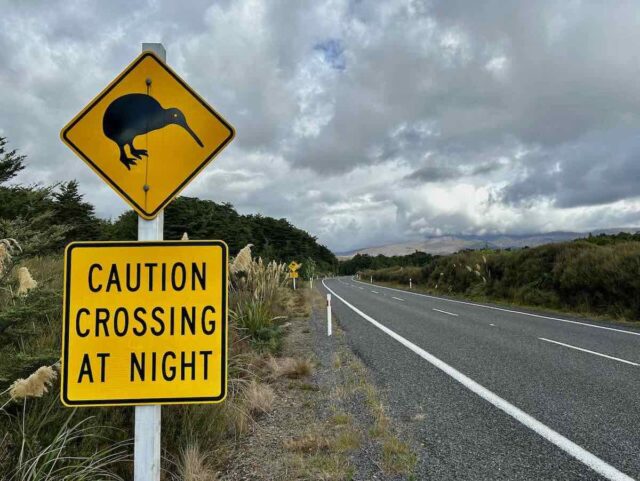 Kiwi Crossing Sign in NZ